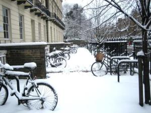 7773e-bikesoutsidethedeptofarchitecture